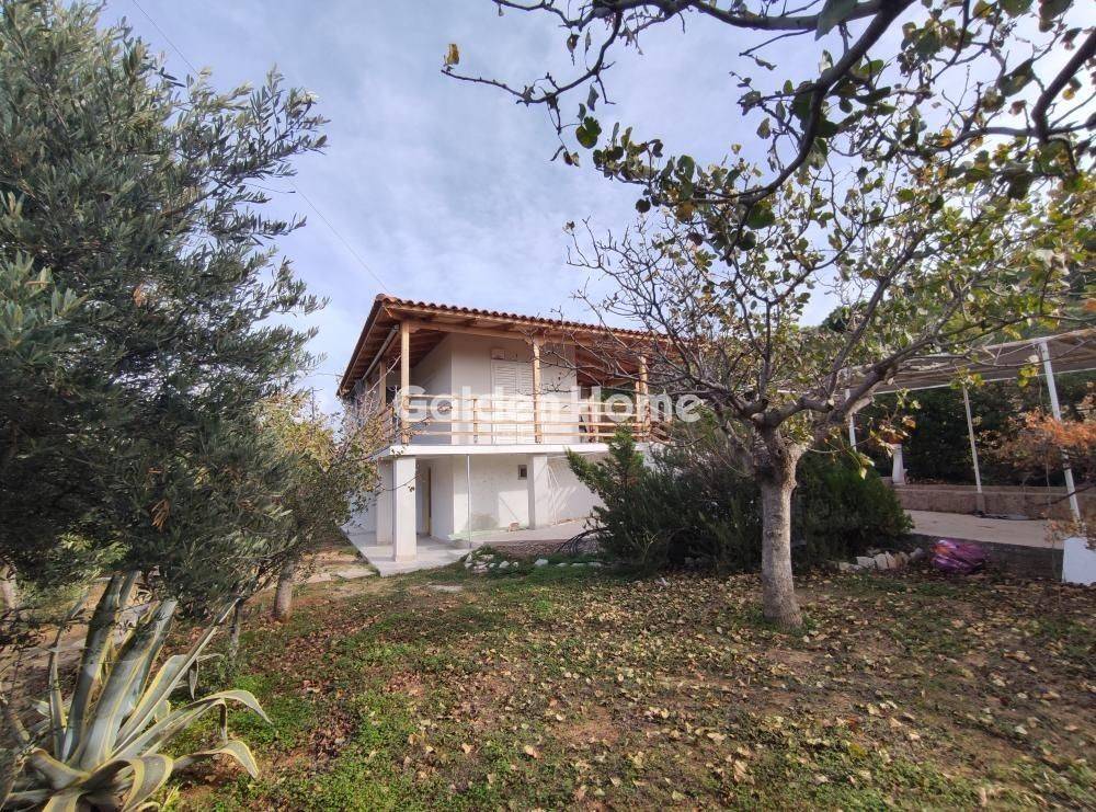 Εξωτερικός Χώρος