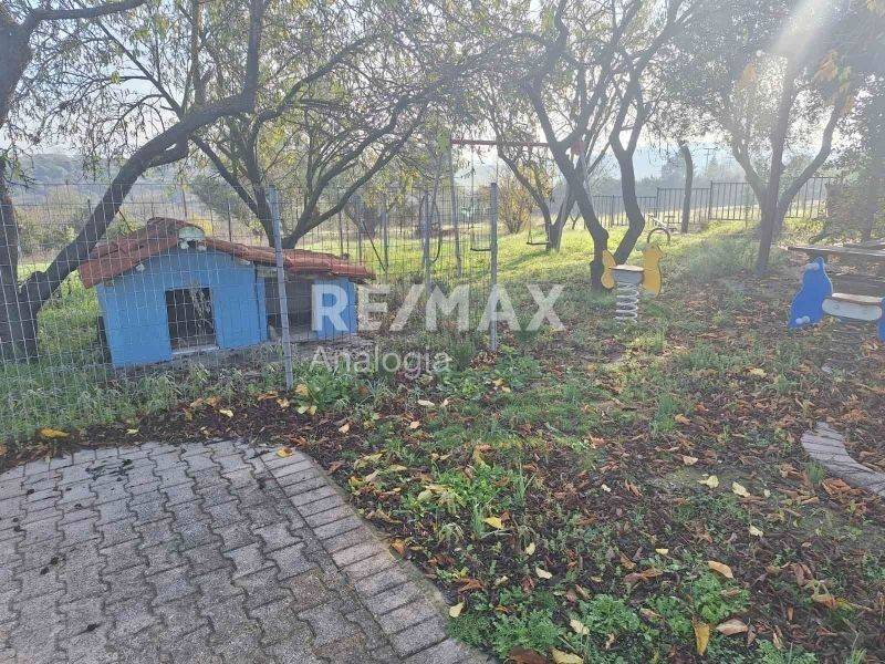 Εξωτερικός χώρος