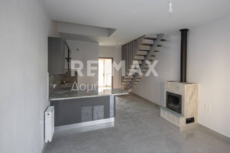 Σαλοκουζίνα