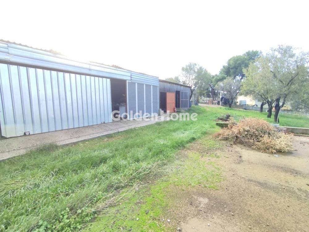 Εξωτερικός Χώρος