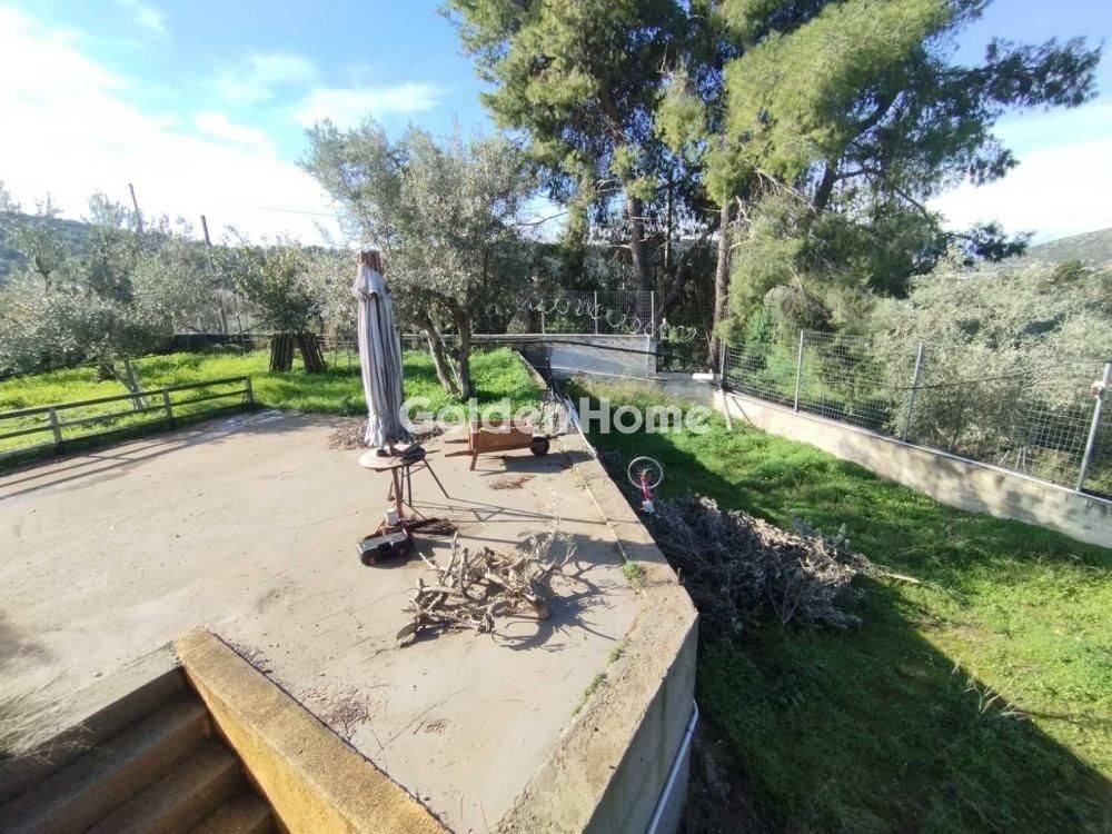 Εξωτερικός Χώρος