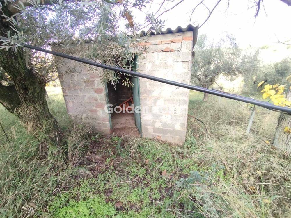 Εξωτερικός Χώρος