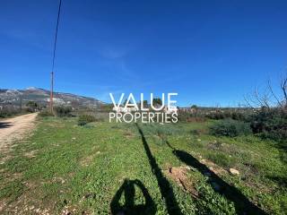 Εξωτερικοι χώροι