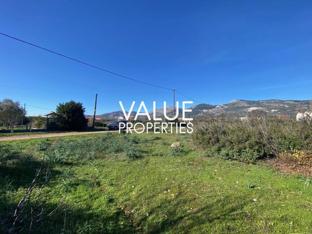 Εξωτερικοι χώροι