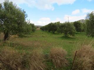 Θέα στο οικόπεδο