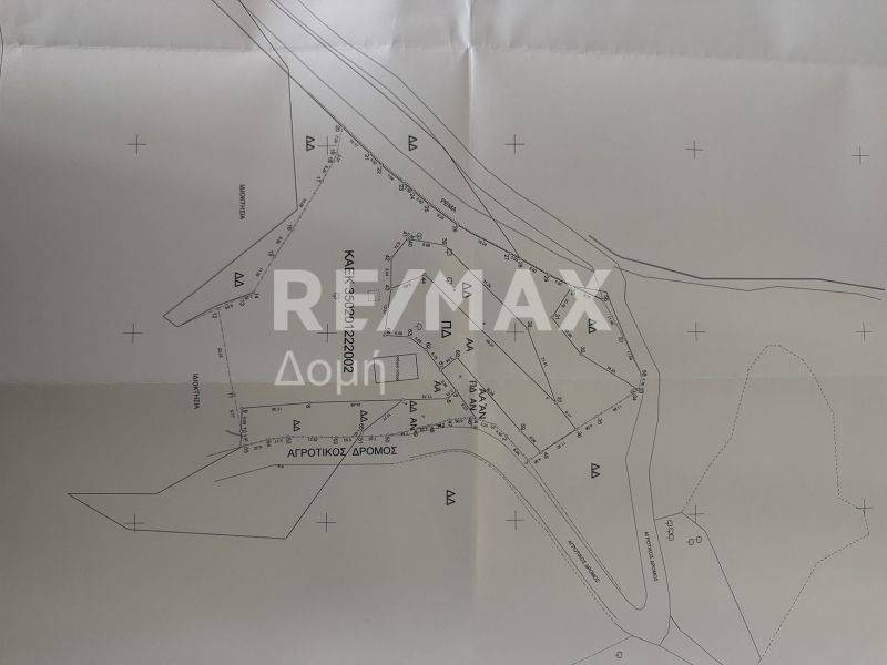 Τοπογραφικό