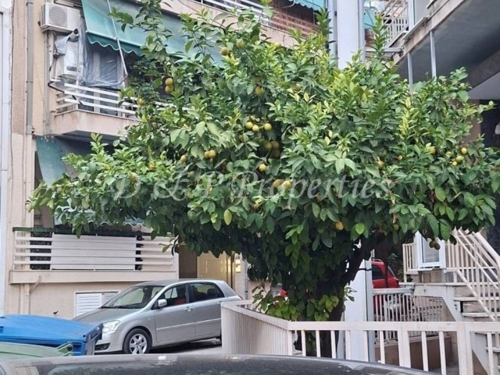 Εξωτερική όψη