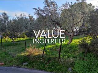 Εξωτερικοι χώροι