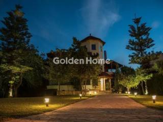 Ανελκυστήρας