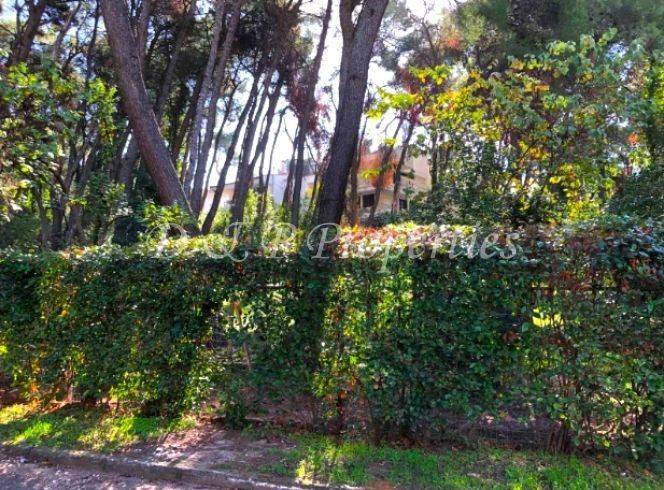 Εξωτερικός χώρος