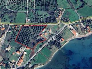 ΣΧΗΜΑ ΟΙΚΟΠΕΔΟΥ