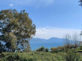 ΘΕΑ ΟΙΚΟΠΕΔΟΥ