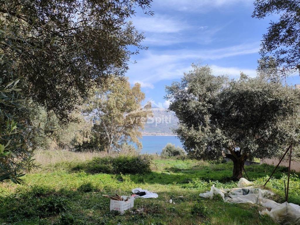 ΑΠΟΨΗ ΟΙΚΟΠΕΔΟΥ