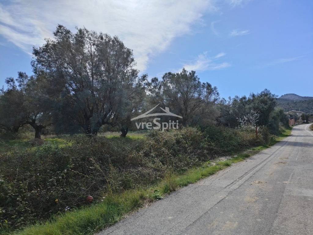 ΑΠΟΨΗ ΟΙΚΟΠΕΔΟΥ