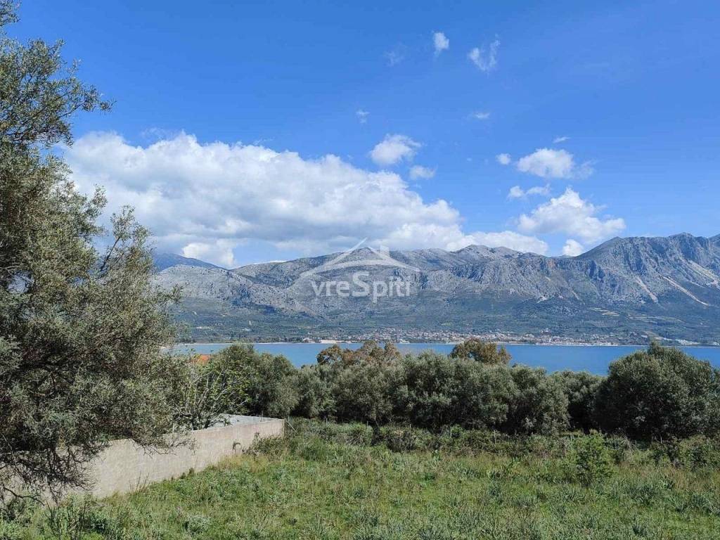 ΑΠΟΨΗ ΟΙΚΟΠΕΔΟΥ