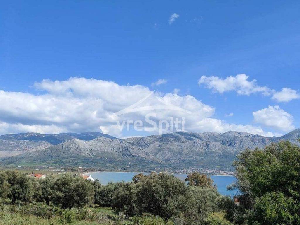 ΑΠΟΨΗ ΟΙΚΟΠΕΔΟΥ