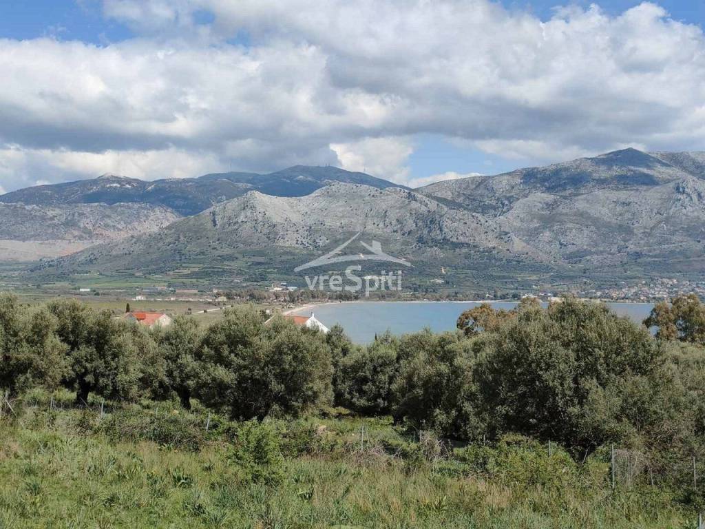 ΑΠΟΨΗ ΟΙΚΟΠΕΔΟΥ