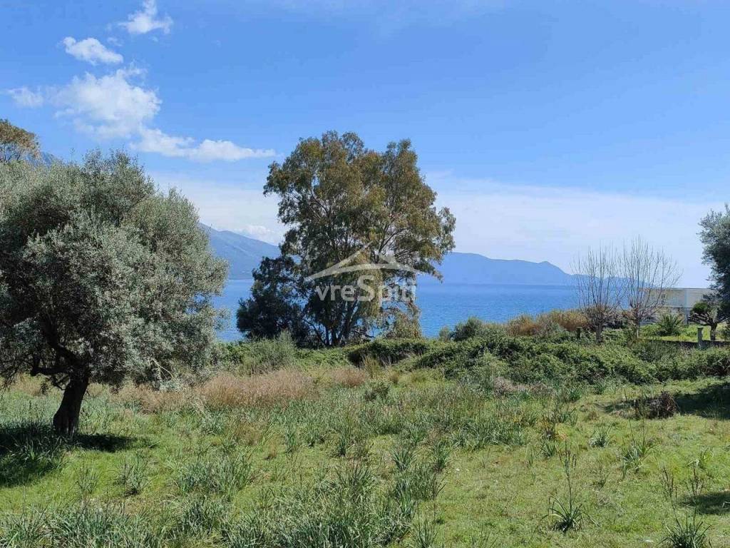 ΑΠΟΨΗ ΟΙΚΟΠΕΔΟΥ