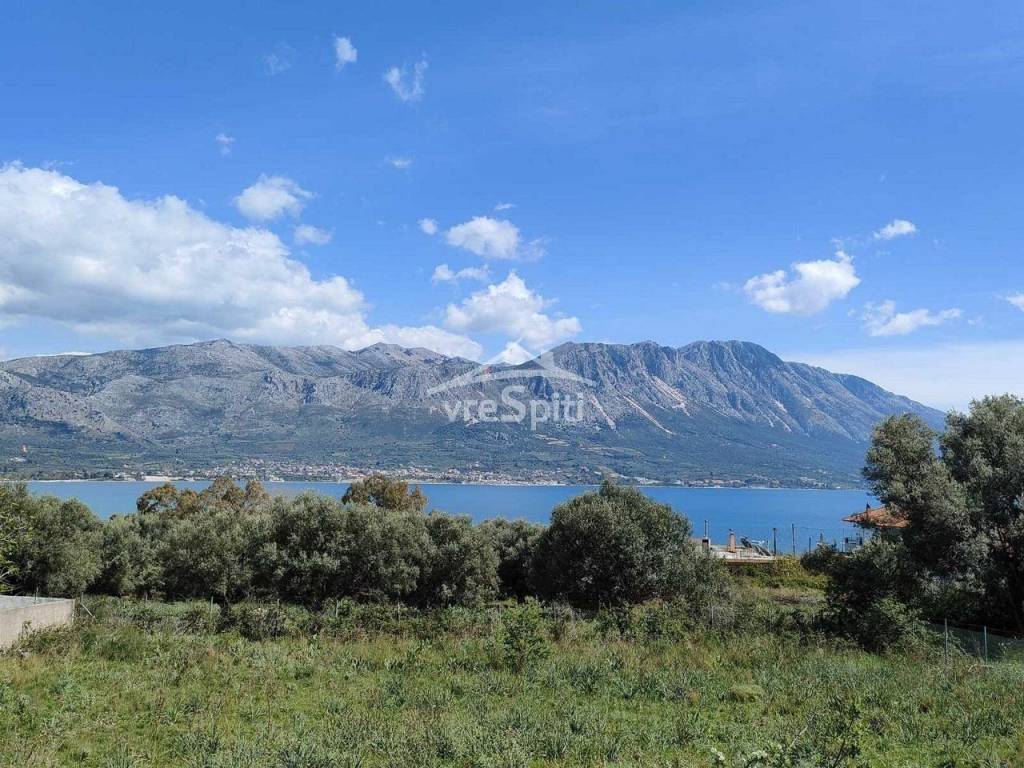 ΑΠΟΨΗ ΟΙΚΟΠΕΔΟΥ