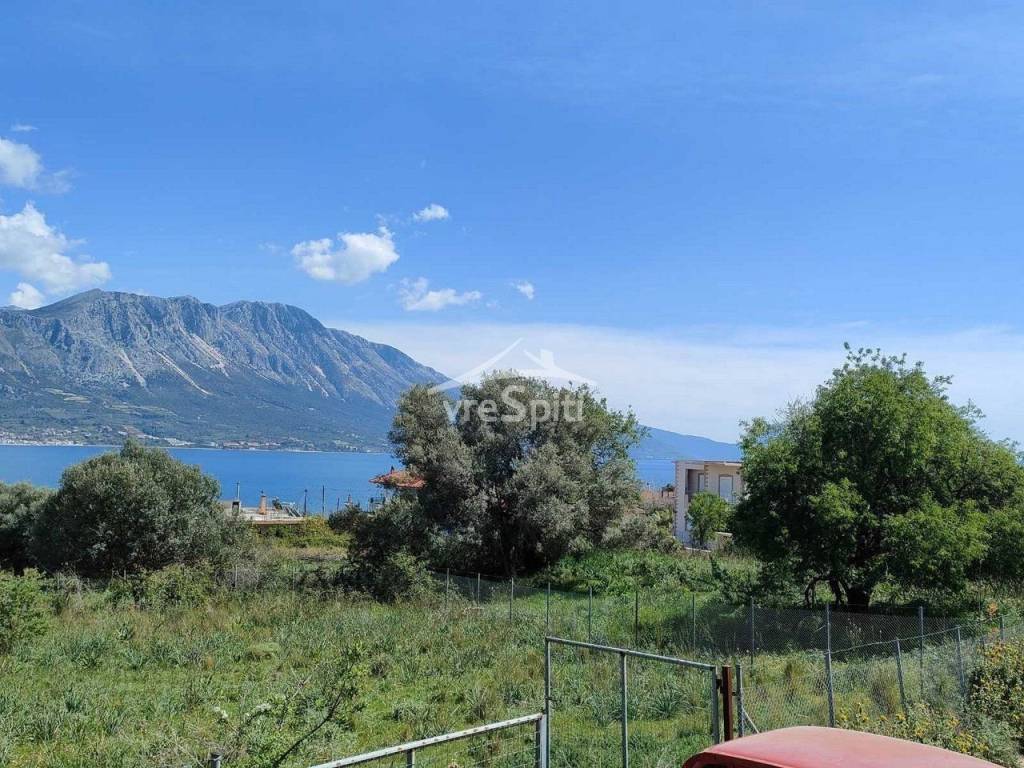 ΑΠΟΨΗ ΟΙΚΟΠΕΔΟΥ