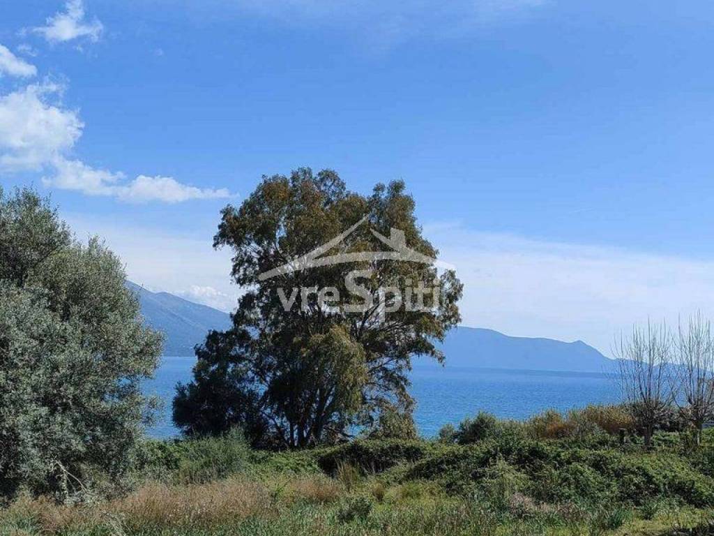 ΑΠΟΨΗ ΟΙΚΟΠΕΔΟΥ