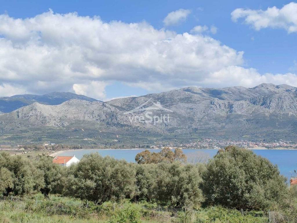 ΘΕΑ ΟΙΚΟΠΕΔΟΥ