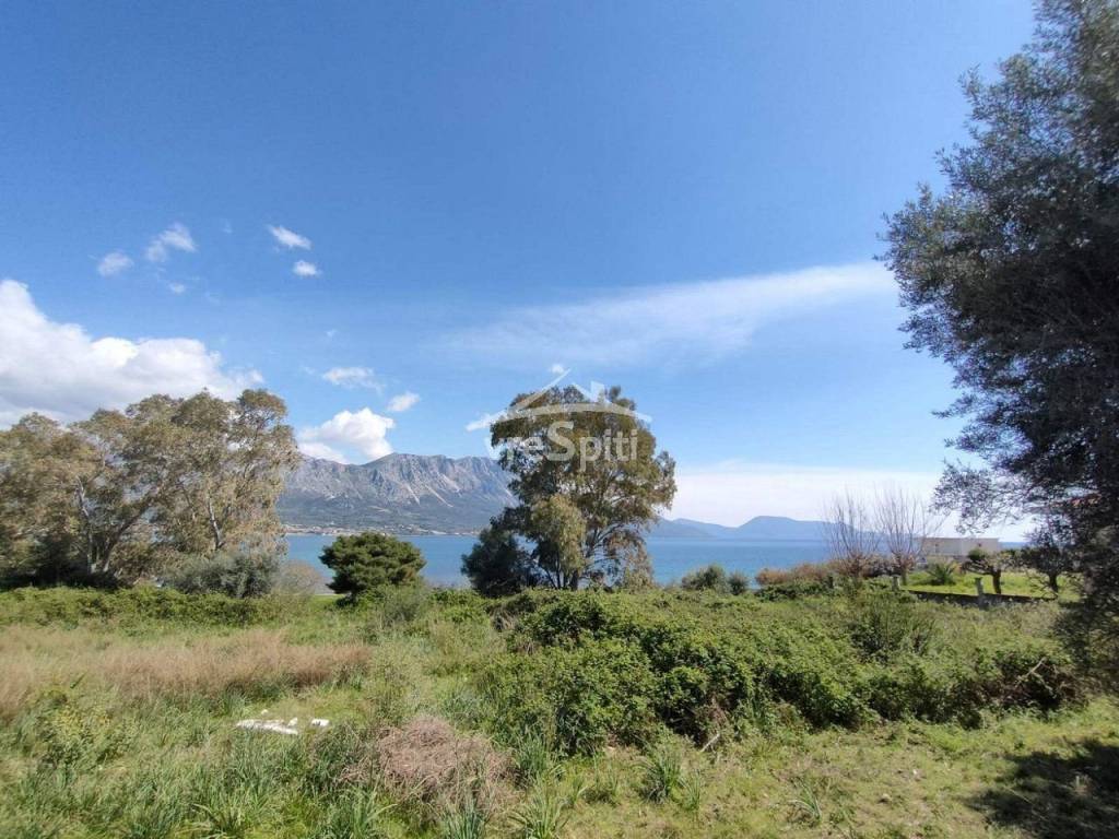 ΑΠΟΨΗ ΟΙΚΟΠΕΔΟΥ