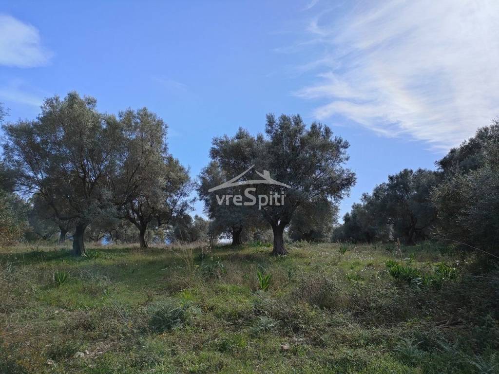 ΑΠΟΨΗ ΟΙΚΟΠΕΔΟΥ