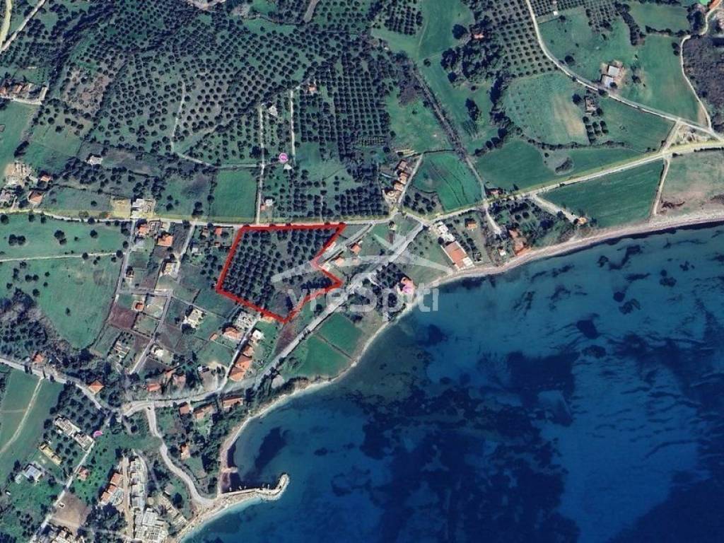 ΣΧΗΜΑ ΟΙΚΟΠΕΔΟΥ