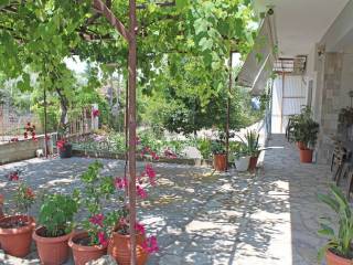 Detached - Grekodom 63565|992712