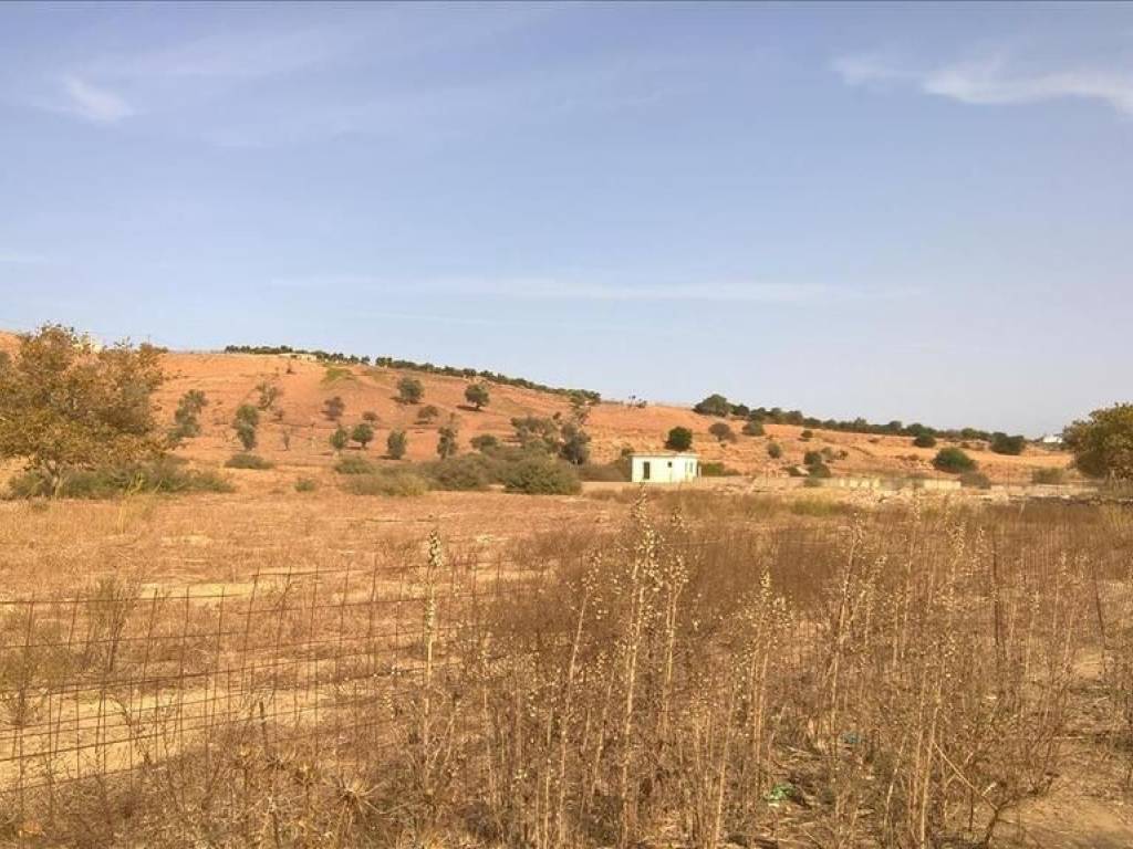 Plot - Grekodom 64250|1014606