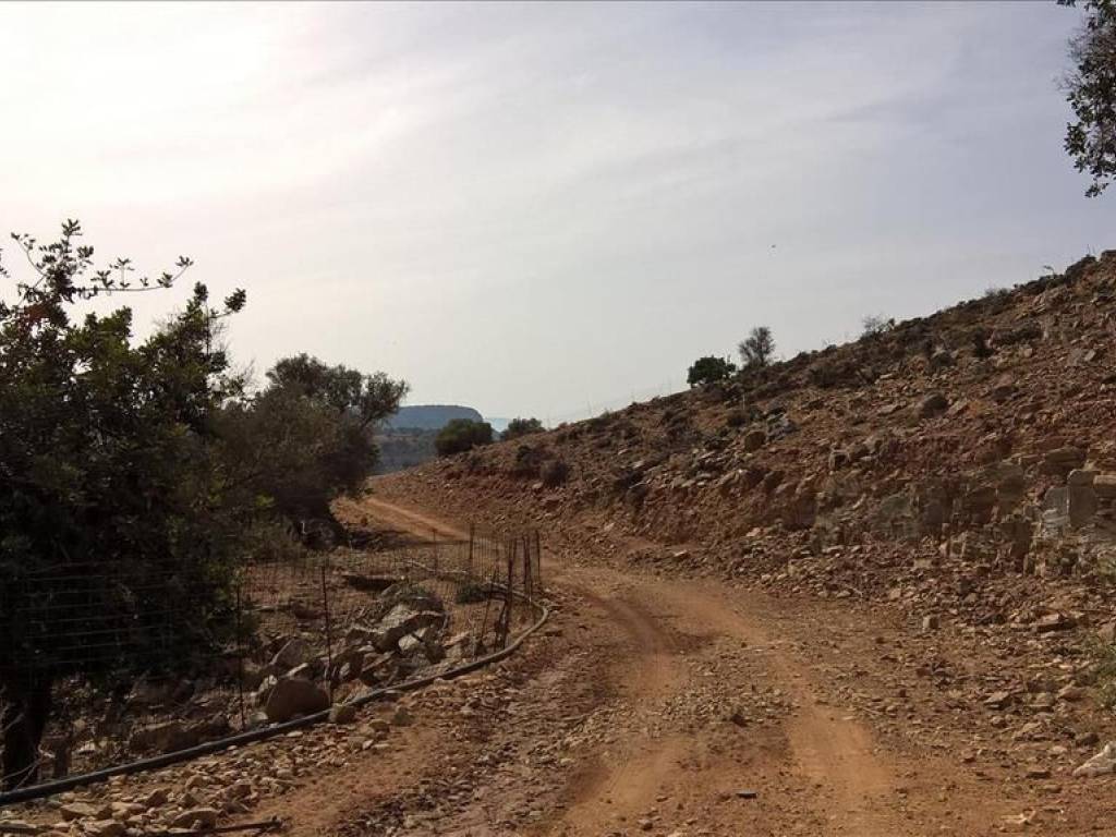 Plot - Grekodom 64250|1014607