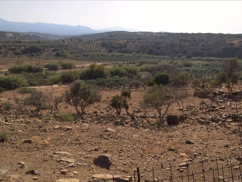 Plot - Grekodom 64250|1014608