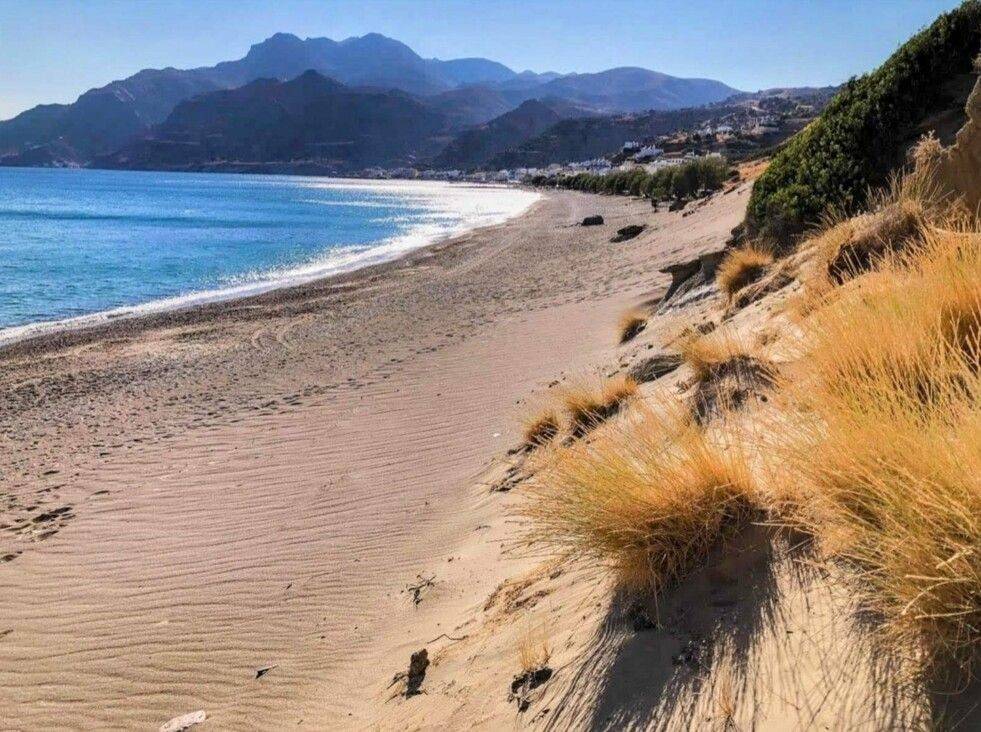 Plot - Grekodom 63741|1001269