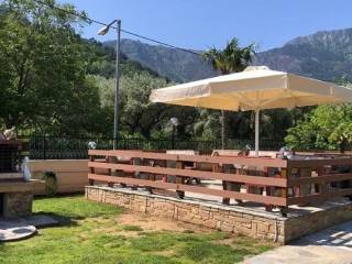 Hotel - Grekodom 63740|998153