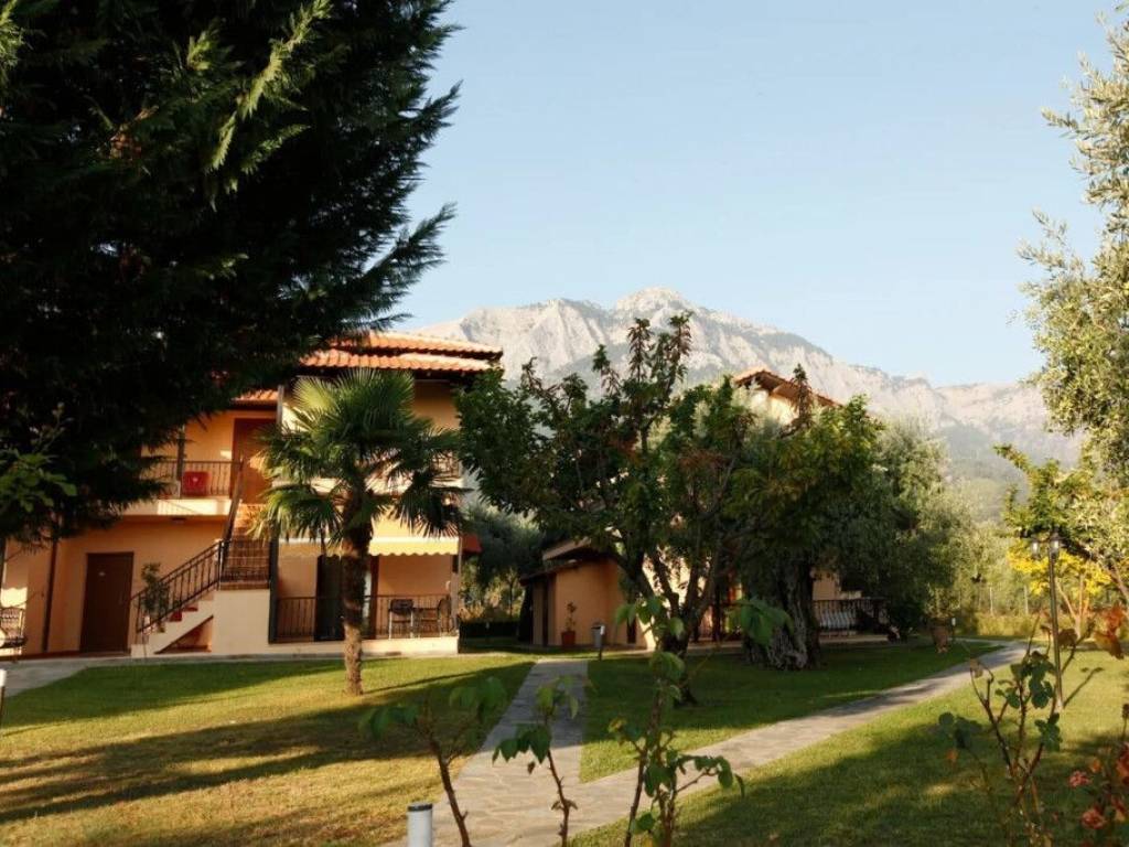 Hotel - Grekodom 63740|998158