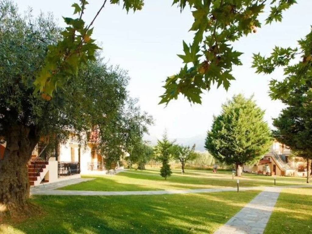 Hotel - Grekodom 63740|998159