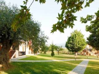 Hotel - Grekodom 63740|998159