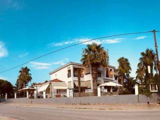 Hotel - Grekodom 63098|979161