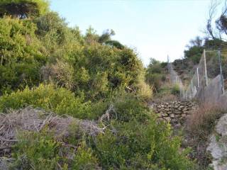 Plot - Grekodom 62294|953738