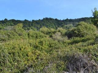 Plot - Grekodom 62294|953739