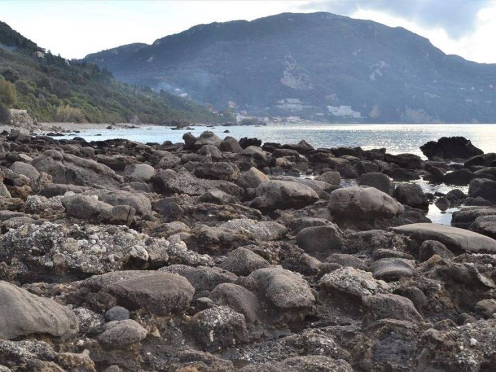 Plot - Grekodom 62294|953742