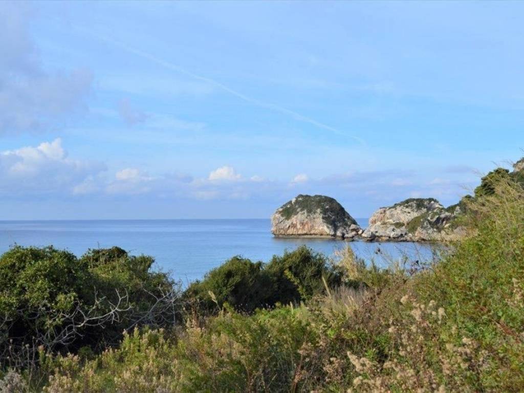 Plot - Grekodom 62294|953746