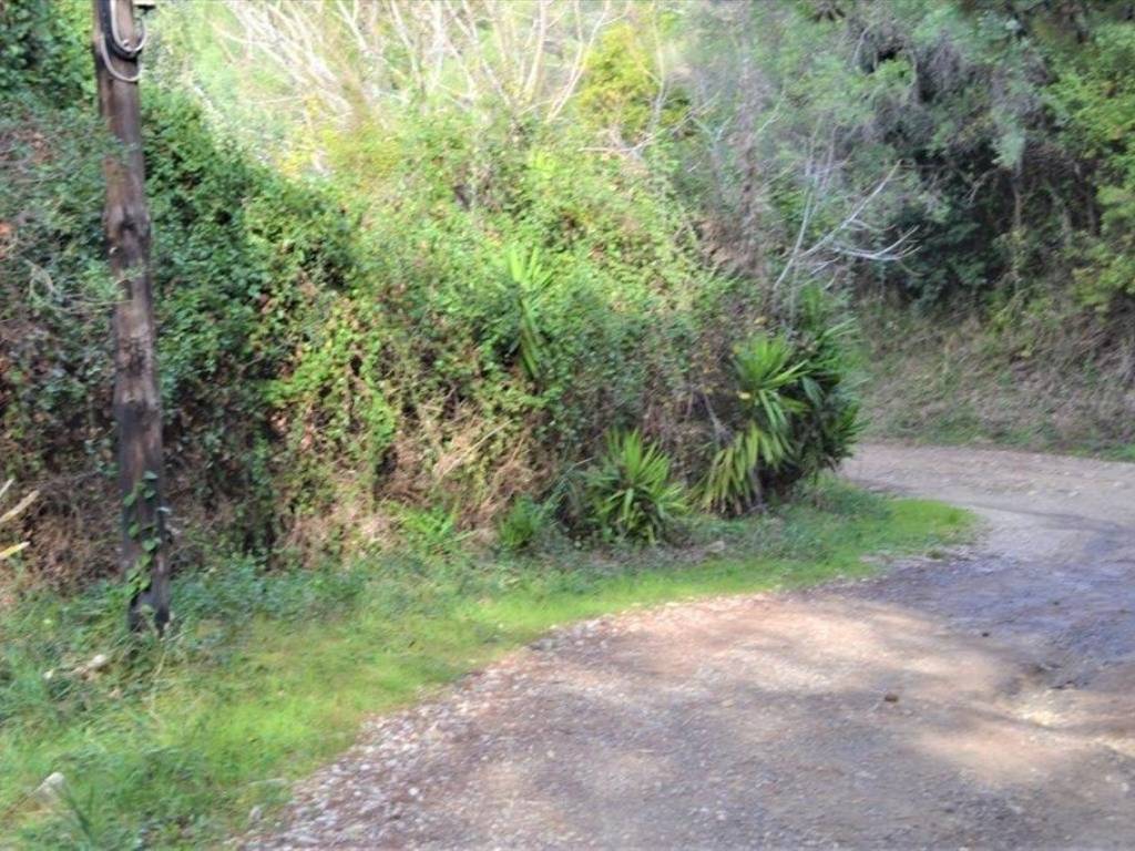 Plot - Grekodom 62294|953748