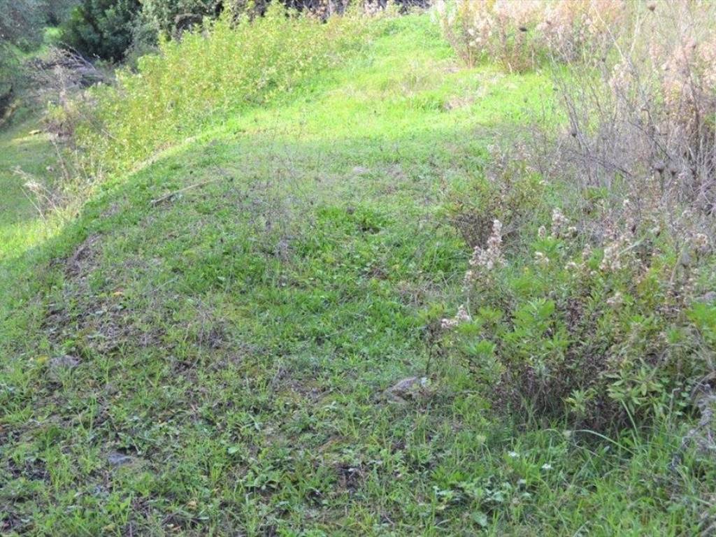 Plot - Grekodom 62294|953749