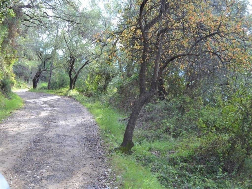 Plot - Grekodom 62294|953750