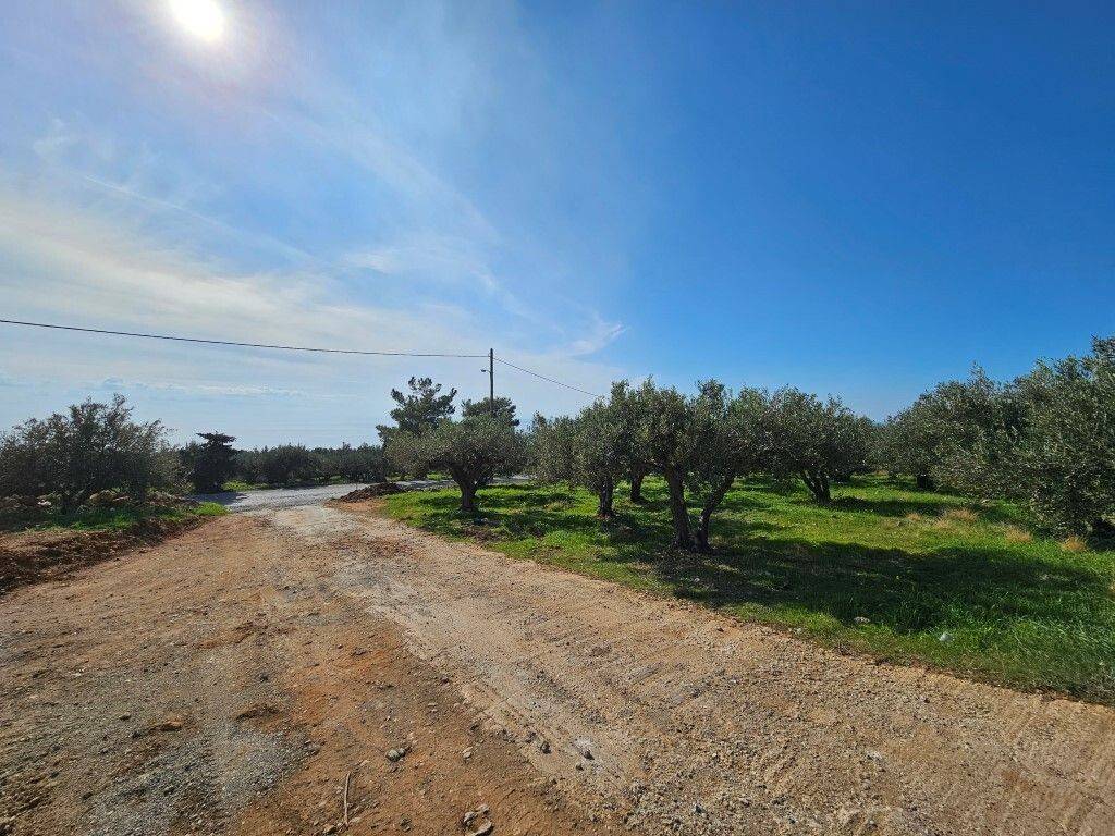 Villa - Grekodom 62197|950915