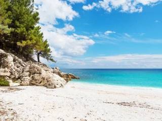 Hotel - Grekodom 62027|944582