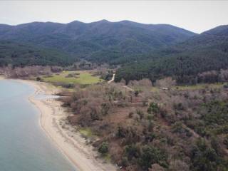 Plot - Grekodom 61874|937915