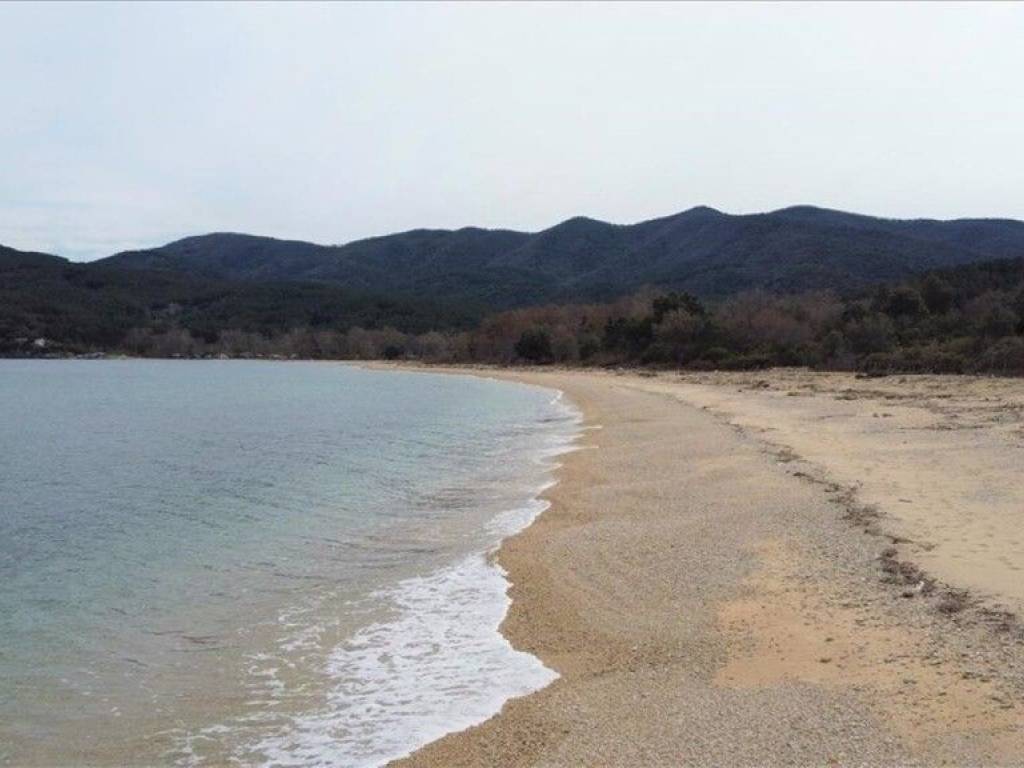 Plot - Grekodom 61874|937918